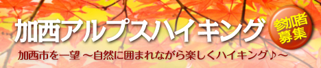 アロマキャンドルイベント報告のページへ